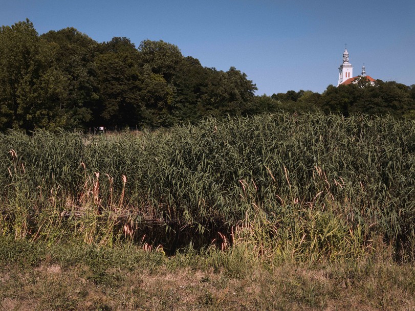 Rozdział pierwszy – Chełmno nad Nerem. Fot. Tomasz Łysak